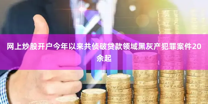 网上炒股开户今年以来共侦破贷款领域黑灰产犯罪案件20余起