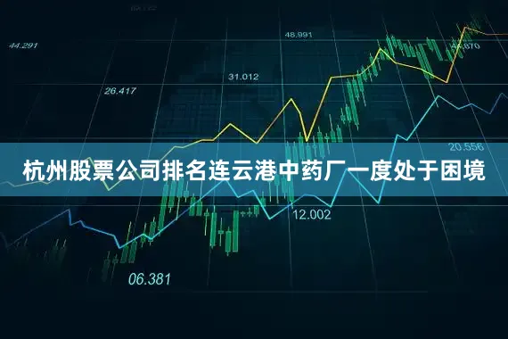 杭州股票公司排名连云港中药厂一度处于困境