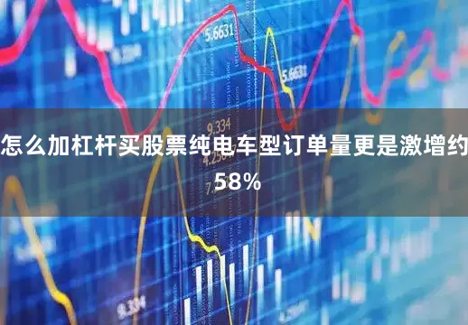 怎么加杠杆买股票纯电车型订单量更是激增约 58%